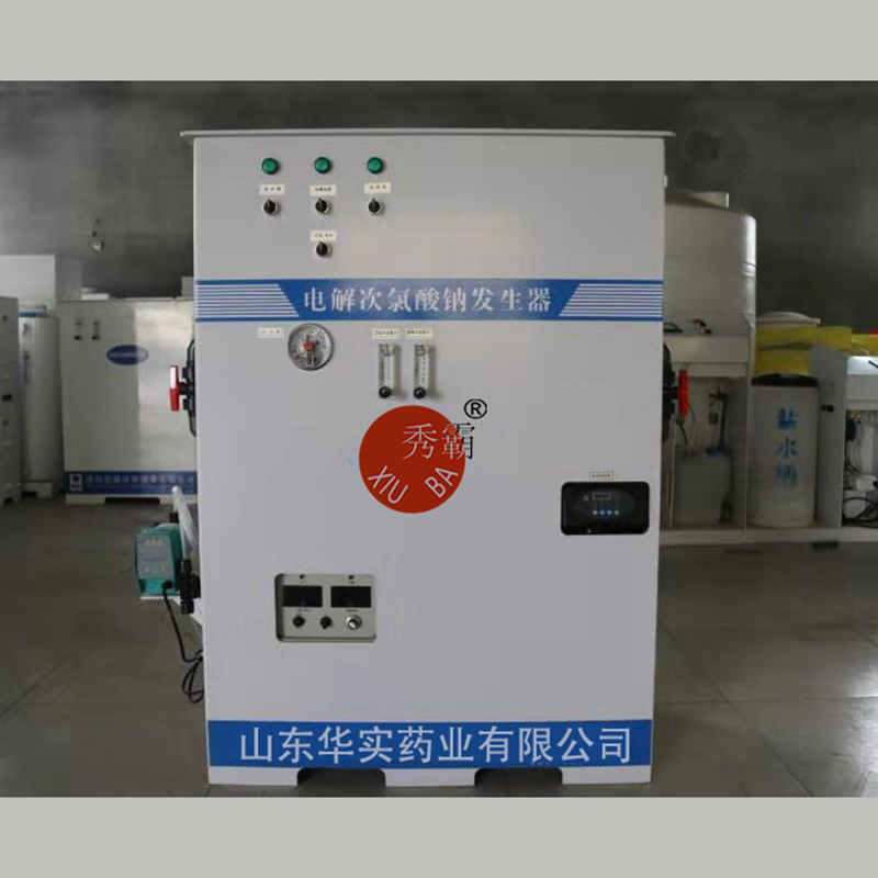 高純復合式小型次氯酸鈉發(fā)生器(普通手動控制型)產(chǎn)品圖2