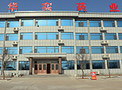 山東華實(shí)藥業(yè)有限公司辦公樓