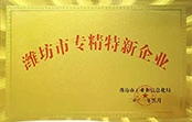 濰坊市專精特新企業(yè)