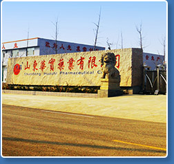 山東華實(shí)藥業(yè)公司廠(chǎng)房外景